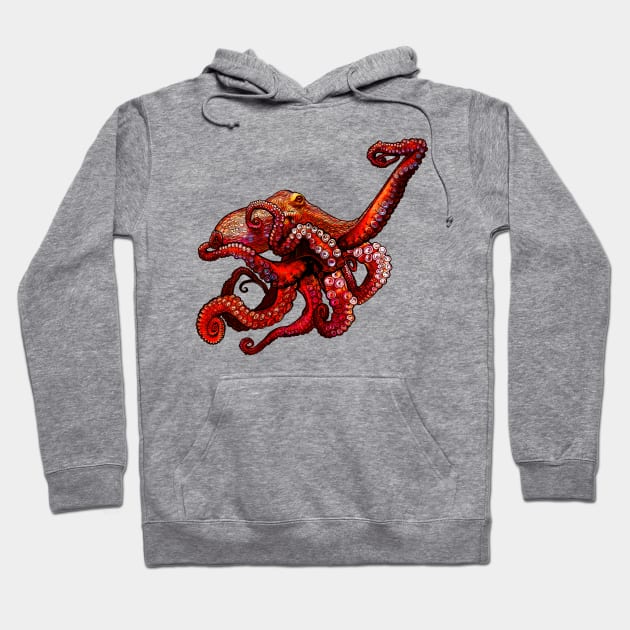 Octopus Hoodie by OceanLife